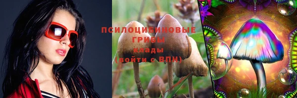 мяу мяу мука Снежинск