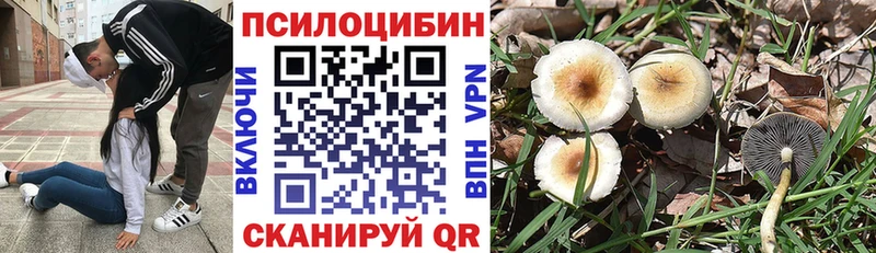 Галлюциногенные грибы Psilocybe  Кудымкар 