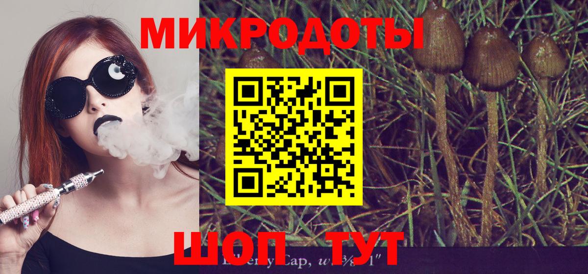 Галлюциногенные грибы прущие грибы Кудымкар
