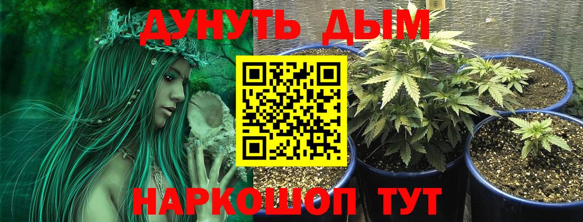 Кудымкар  Шишки марихуана гибрид  Бошки Шишки Amnesia  МАРИХУАНА OG Kush  Вход с VPN 